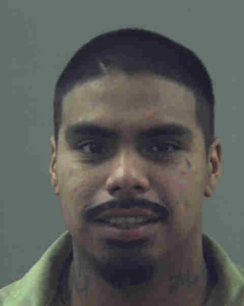 Logan Bushell Trial set for Ogden man accused of attempted murder | News, Sports ...